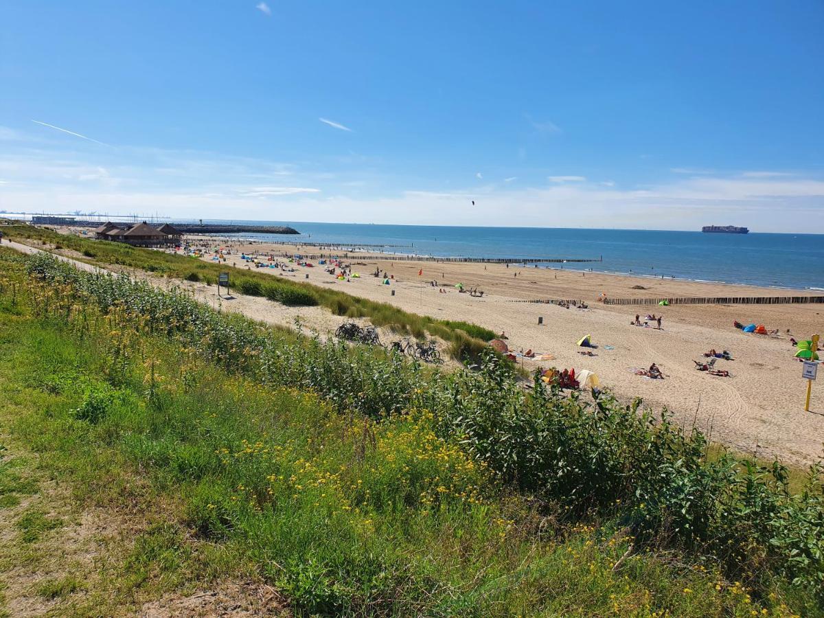 Le Normandy 5Star Lägenhet Cadzand Exteriör bild